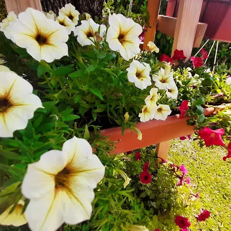 Mario Casa de hóspedes