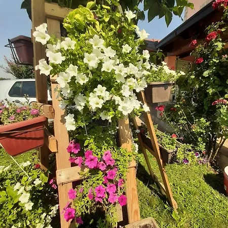 Guest house Mario Medjugorje