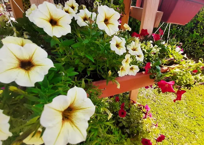 Mario Casa de hóspedes