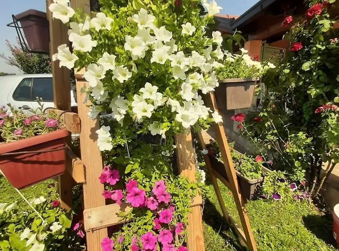 Casa de hóspedes Mario Međugorje