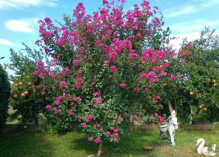 Mario Casa de hóspedes Međugorje